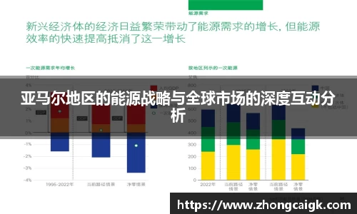 亚马尔地区的能源战略与全球市场的深度互动分析