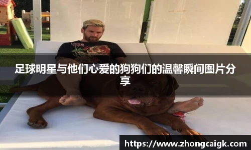 lehu66乐虎国际登录